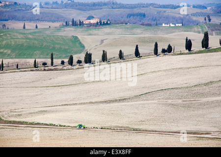 Landschaft, Kreta Senesi, Siena, Toskana, Italien, Europa Stockfoto