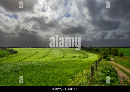 Kithurst Hill, Storrington, West Sussex Stockfoto