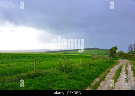 Kithurst Hill, Storrington, West Sussex Stockfoto