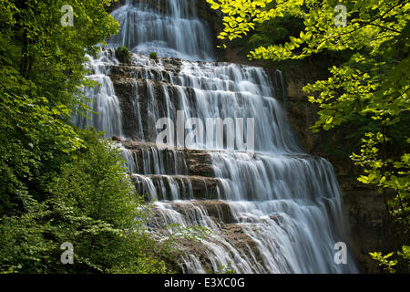 L'Éventail Wasserfall, Wasserfälle von Herisson, Cascades du Hérisson, Ménétrux-En-Joux, Franche-Comté, Frankreich Stockfoto