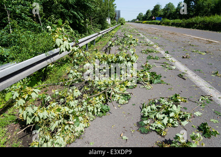 Heruntergefallene Äste lagen auf der Autobahn A43 in Herne, Ruhrgebiet, Westdeutschland, nach den schweren Sturmtief Ela Stockfoto