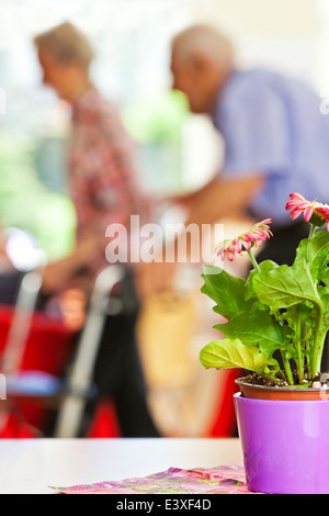 Älteres Paar in den Ruhestand nach Hause mit einer fahrbaren Gehhilfe Stockfoto
