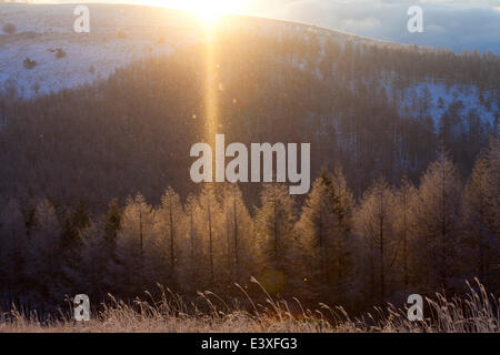 Präfektur Nagano, Japan Stockfoto