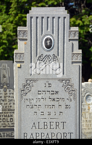 Grabstein mit Foto auf dem neuen Montefiore-Friedhof in Cambria Heights, Queens, New York City Stockfoto