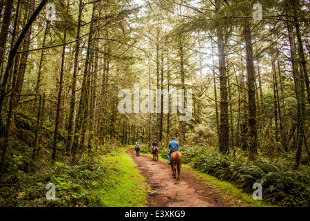 Kaukasische Viehzüchter Reiten im Wald Stockfoto