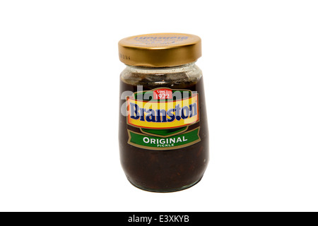 Branston Pickle Stockfoto