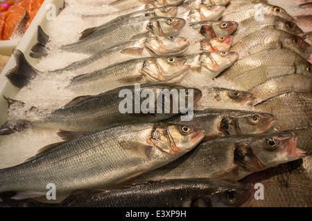 Porgies auf dem Eis im Fischgeschäft Display in der Lower East Side in New York auf Samstag, 28. Juni 2014. (© Richard B. Levine) Stockfoto