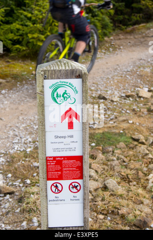 Off Road Mountainbike-Strecken im Gisburnund Wald in Tosside, Lancashire, UK. Stockfoto