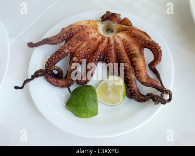 Griechenland, Rhodos-Stadt, Altstadt, Platia Aristomeneous, Gegrillter Oktopus Stockfoto