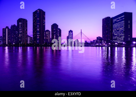 Silhouette der Tokioter Skyline leuchtet in der Nacht, Koto, Tokyo, Japan Stockfoto