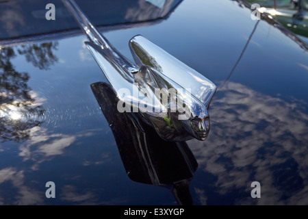 Spezielle Limousine 1951 Cadillac Sixty Stockfoto