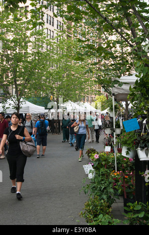 Menschen beim Einkaufen in der Union Square Gemüsemarkt, NYC. Stockfoto