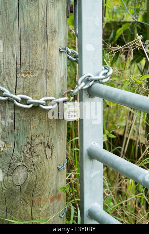 Kombination Vorhängeschloss und Kette auf verzinktem Metall Stahltor und post Stockfoto