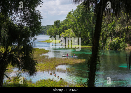 Rainbow Springs State Park ist die Quelle des Flusses Regenbogen in Nord-Zentral-Florida. Stockfoto