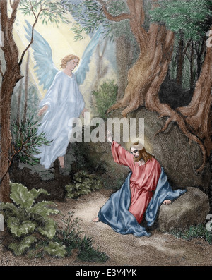 Neuen Testaments. Lukas-Evangelium. Kapitel XXII. Jesus auf dem Ölberg. Gravur. Farbige. Stockfoto