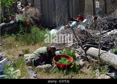 Eine ältere Dame neigt die Produkte der etwas heruntergekommenen Wohnungen in der Capadoccia.Central Türkei. Stockfoto