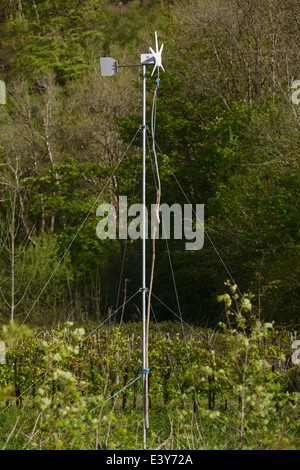 Kleine Windkraftanlage, gesichert mit einem Stock und Seil für Wartung, Wales, Vereinigtes Königreich. Stockfoto