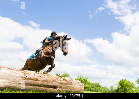 Reiter auf Pferd springen Stockfoto