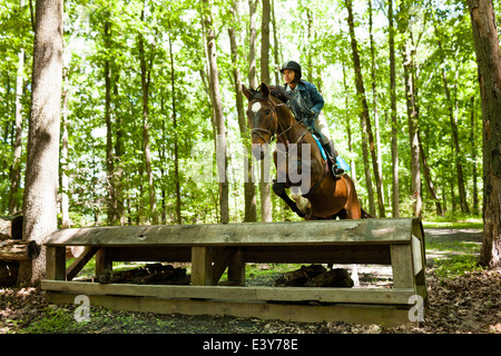 Reiter auf Pferd springen Stockfoto