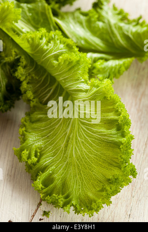 Organische Rohstoffe Senf auf einem Hintergrund Stockfoto