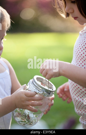 Mädchen und Kleinkind Schwester grüne Anole Eidechse in Glas setzen Stockfoto