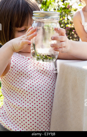 Mädchen hält Glas mit grünen Anole Eidechse im Garten Stockfoto