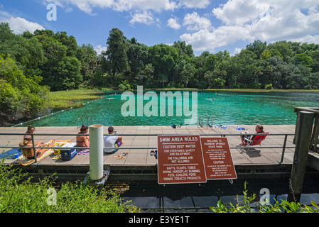 Rainbow Springs State Park ist die Quelle des Flusses Regenbogen in Nord-Zentral-Florida. Stockfoto