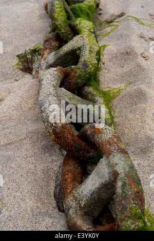 Rostige Kette auf dem Sand in St. Ives, Cornwall, UK Stockfoto