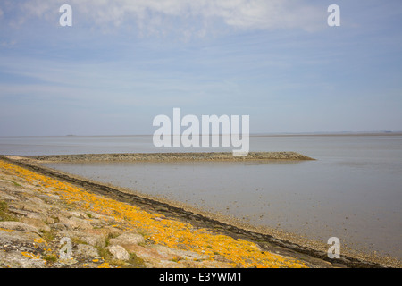 Niederländische weite Landschaft mit Deich und blauer Himmel Stockfoto