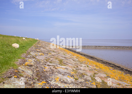 Niederländische weite Landschaft mit Deich und blauer Himmel und Wattenmeer Stockfoto