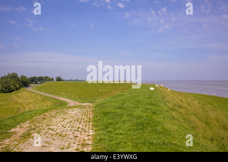 Niederländische weite Landschaft mit Deich und blauer Himmel Stockfoto