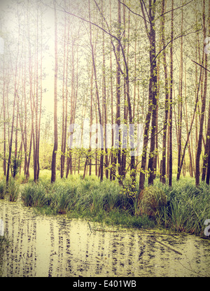 Friedliche Natur Vintage-Hintergrund. Stockfoto