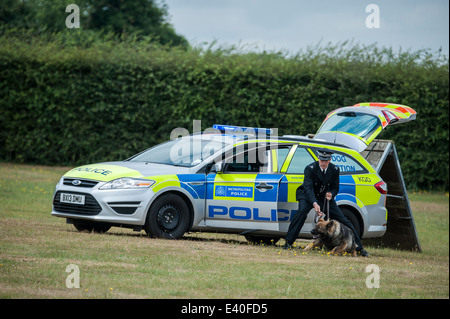 Ein Ford Mondeo Polizeihund Abschnitt Fahrzeug mit Hundeführer bei Polizeihund Ausbildungsstätte, Keston, Kent, England, Großbritannien Stockfoto