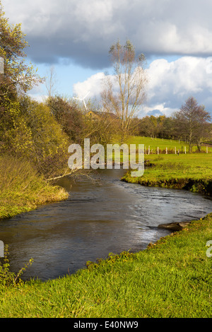 Herbstliche Ansicht am Fluss Rulles in Habay-la-Vieille in den belgischen Ardennen, einschließlich einen Biber Damm im Fluss Stockfoto