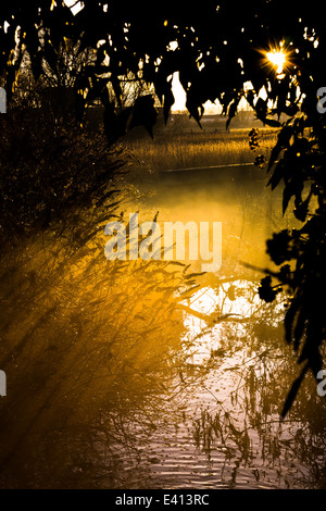 Dawn Sonnenlicht am Grand Union Canal in der Nähe von Leighton Buzzard, Großbritannien Stockfoto