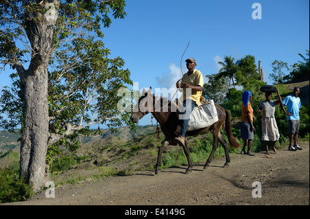 Antillen, Haiti, Leogane, Dorf Morin, Mann reitet auf Esel Stockfoto