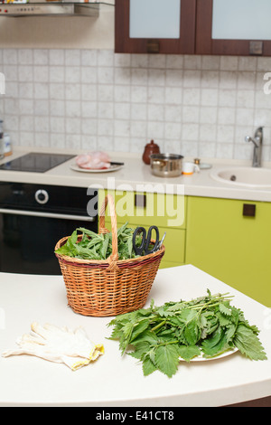 Brennessel Blätter gesammelt in der Küche auf dem Tisch Stockfoto