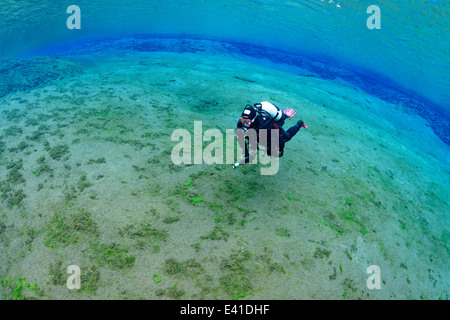 Tauchen in Silfra Riss mit Lagune, Insel, Silfra, Thingvellir Nationalpark, Island Stockfoto