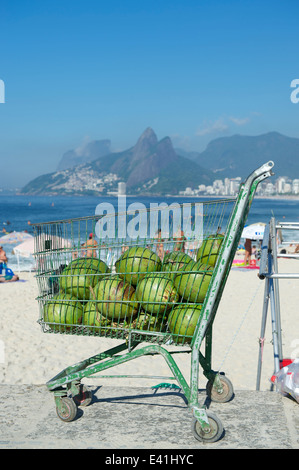 Einkaufswagen voller frische grüne brasilianischen Coco Verde Kokosnüsse sitzen in der Sonne am Ipanema Strand Rio de Janeiro Brasilien Stockfoto