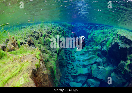 Silfra, Silfra - die Süßwasserspalte zwischen den Kontinenten, Silfra, thingvellir Nationalpark, Island Stockfoto