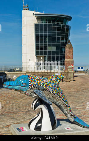 BUNTE DELPHIN VOR DEM MARINE OPERATIONS CENTRE NORTH PIER ABERDEEN HAFEN Stockfoto