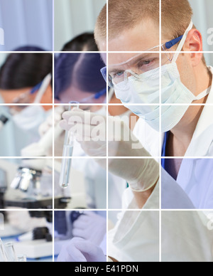 Männliche Forscher und zwei weiblichen Kollegen Reagenzglas Probe in einem medizinischen wissenschaftlichen Labor analysieren Stockfoto