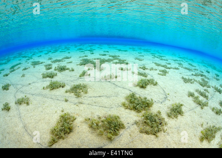 Nesgja, kleiner Riss im Norden von Island, Nesgja Lagune, Akureyri, North Island Stockfoto