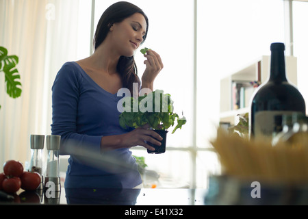 Junge Frau riechen Basilikum Pflanze in Küche Stockfoto