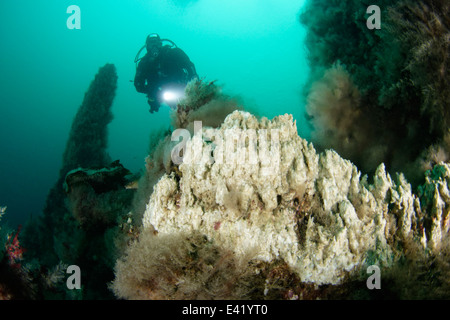 Kleine Styrtan, Geothmal Unterwasser Schornstein, Strytan, Akureyri, Eyjafjord, North Island, Grönland-See Stockfoto