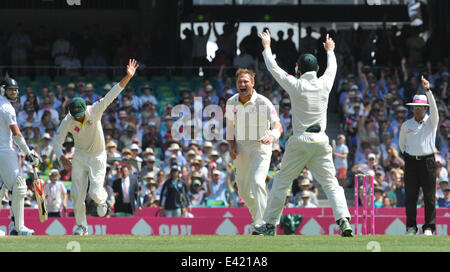 Die Asche 2013 / 14: Australien V England - fünfte Test - Tag drei Featuring: Ryan Harris Where: Sydney, Australien bei: 5. Januar 2014 Stockfoto