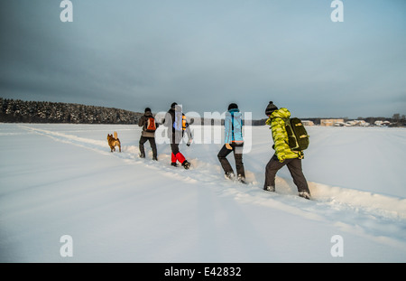 Gruppe von Freunden und Hundewiesen auf Schnee Stockfoto