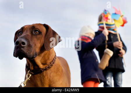 Gazing Hund mit jungen und Mädchen und Papier Windmühlen an Küste Stockfoto