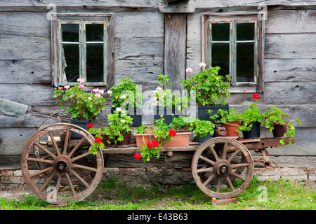 Leiterwagen mit Blumen von zu Hause in der Nähe von Kastelruth, Italien