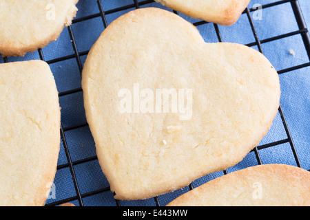 Frisch gebackene herzförmige Cookies auf Rack-Kühlung. Stockfoto